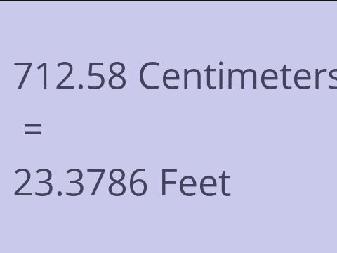 712.58 CM TO FEET