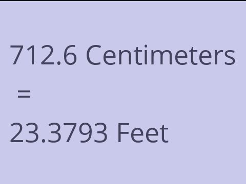 712.6 CM TO FEET