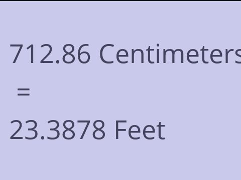 712.86 CM TO FEET