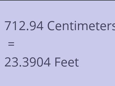 712.94 CM TO FEET