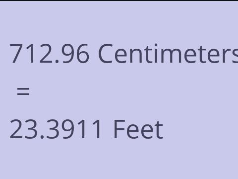 712.96 CM TO FEET