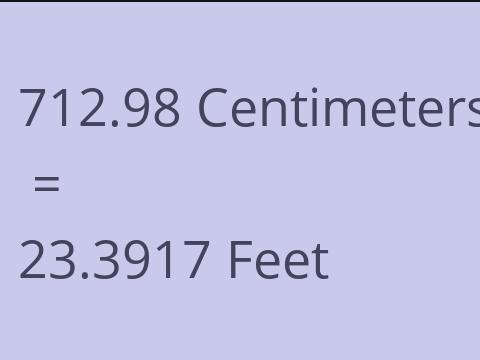 712.98 CM TO FEET