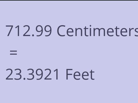 712.99 CM TO FEET