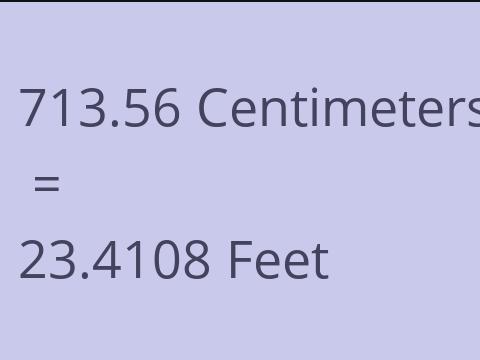 713.56 CM TO FEET