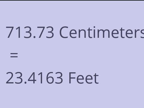 713.73 CM TO FEET