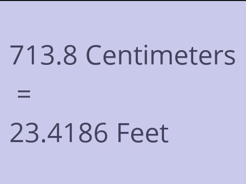 713.8 CM TO FEET