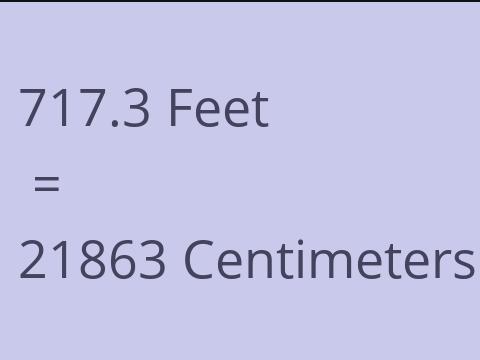 717.3 FEET TO CM