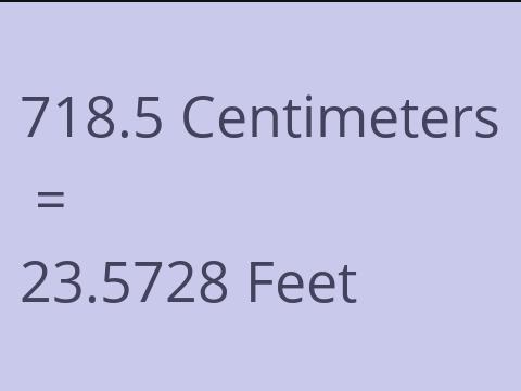 718.5 CM TO FEET