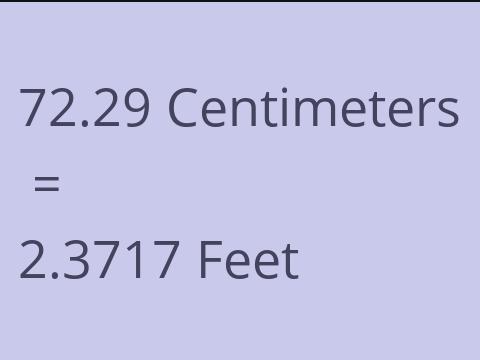 72.29 CM TO FEET