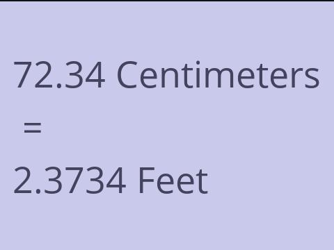 72.34 CM TO FEET