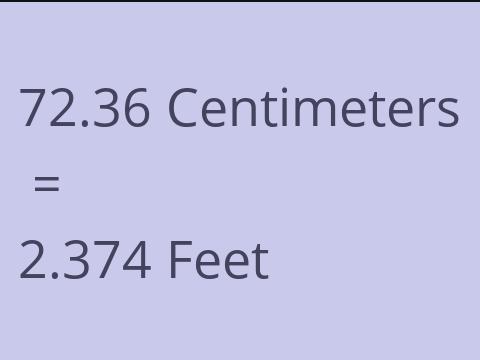 72.36 CM TO FEET