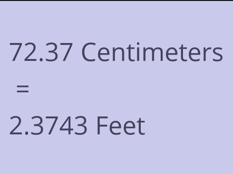 72.37 CM TO FEET