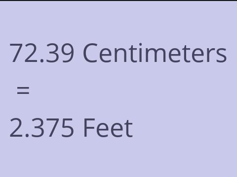 72.39 CM TO FEET