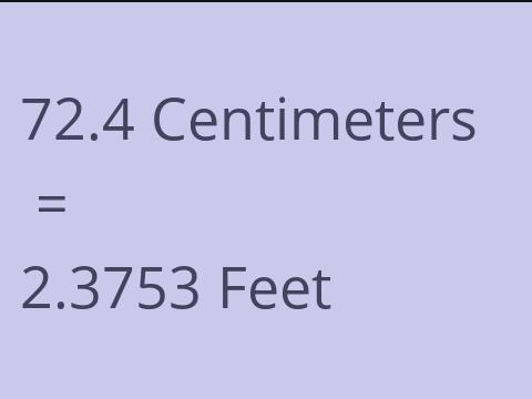 72.4 CM TO FEET