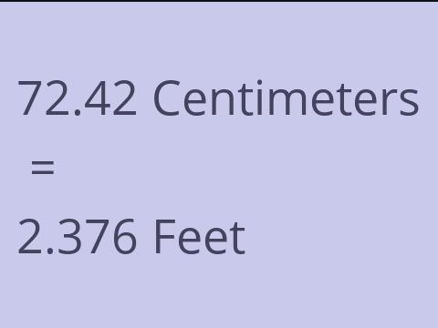 72.42 CM TO FEET