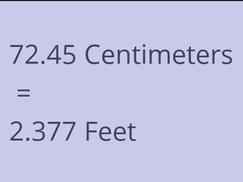 72.45 CM TO FEET