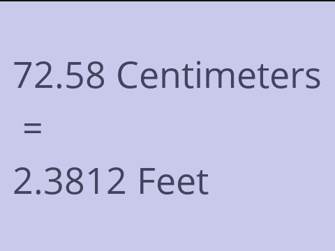 72.58 CM TO FEET