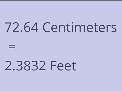 72.64 CM TO FEET