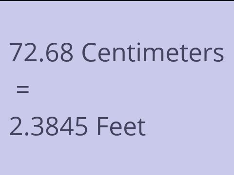 72.68 CM TO FEET