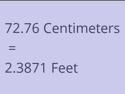 72.76 CM TO FEET