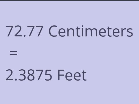 72.77 CM TO FEET