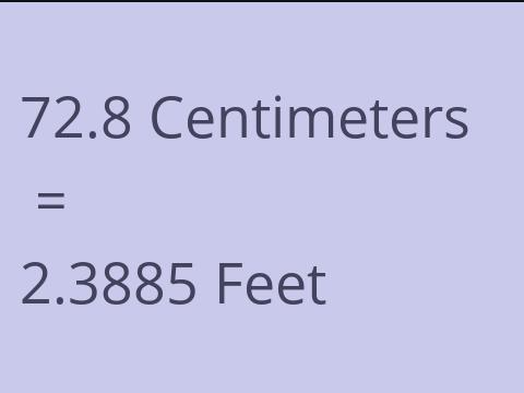 72.8 CM TO FEET