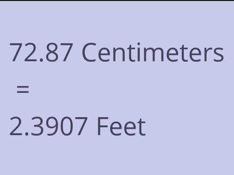 72.87 CM TO FEET