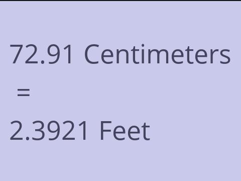 72.91 CM TO FEET