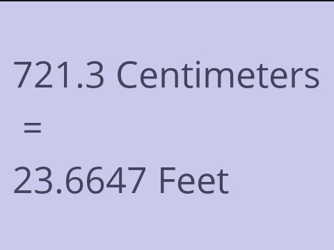 721.3 CM TO FEET