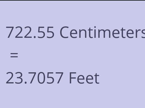 722.55 CM TO FEET