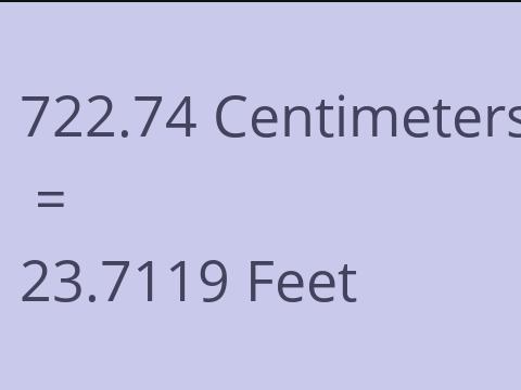 722.74 CM TO FEET