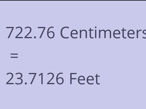 722.76 CM TO FEET