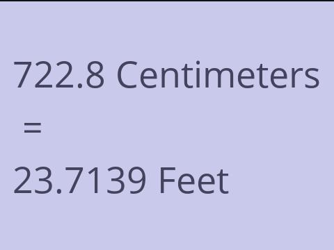 722.8 CM TO FEET