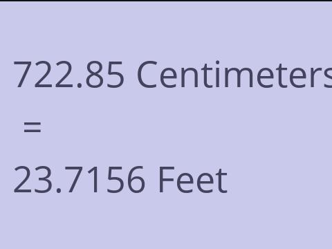 722.85 CM TO FEET