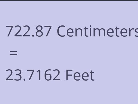 722.87 CM TO FEET