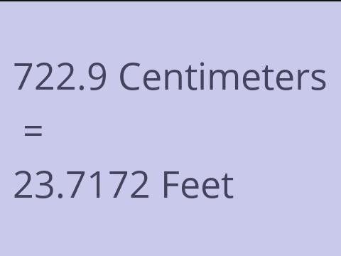 722.9 CM TO FEET