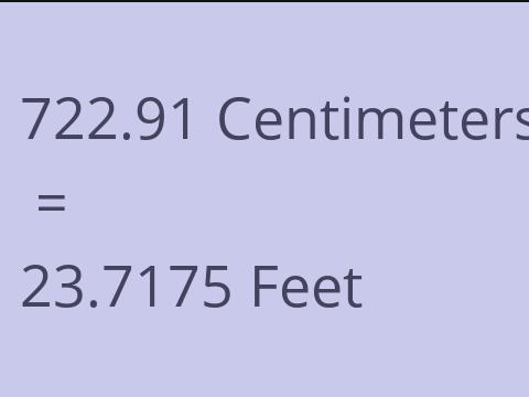 722.91 CM TO FEET