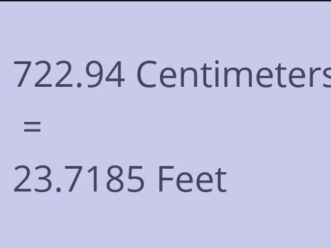 722.94 CM TO FEET