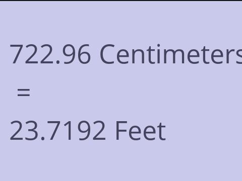 722.96 CM TO FEET