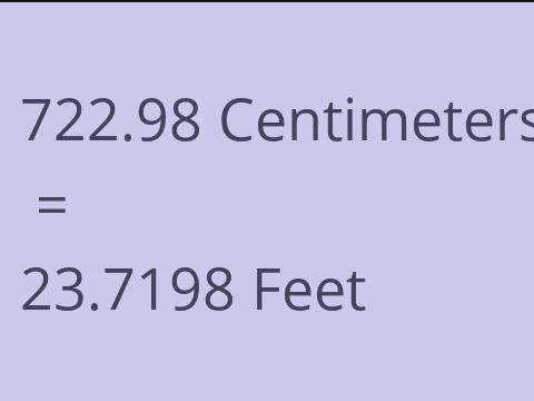 722.98 CM TO FEET