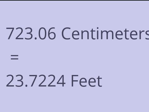 723.06 CM TO FEET