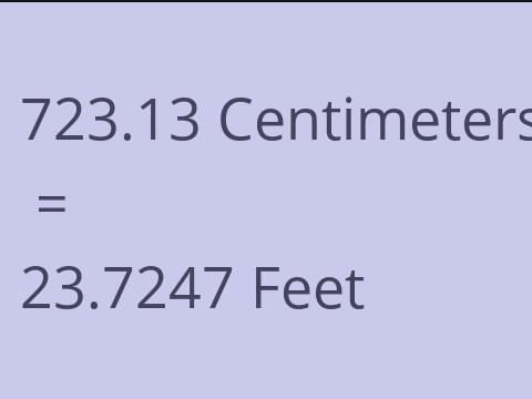 723.13 CM TO FEET