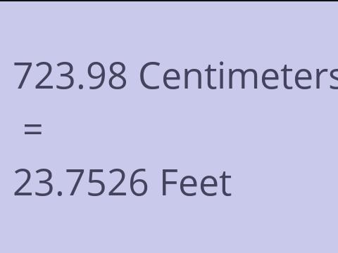 723.98 CM TO FEET