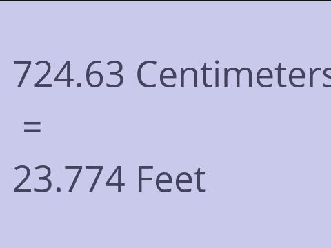 724.63 CM TO FEET