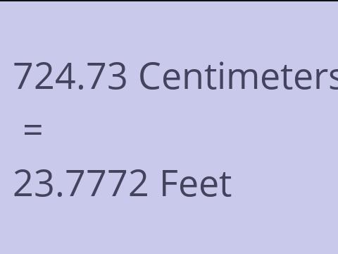 724.73 CM TO FEET