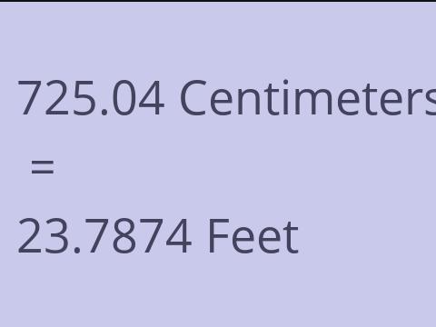 725.04 CM TO FEET