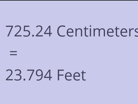 725.24 CM TO FEET