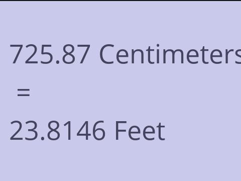 725.87 CM TO FEET