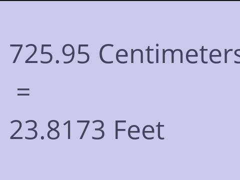 725.95 CM TO FEET