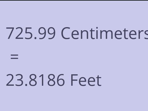 725.99 CM TO FEET